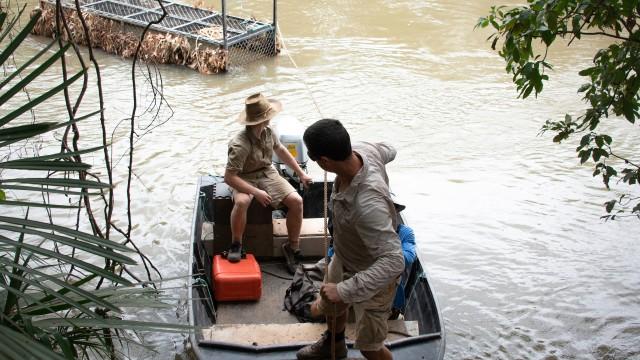 Bindi’s Croc Trip Surprise