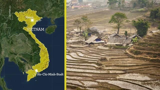 Vietnam: The New Asian Tiger