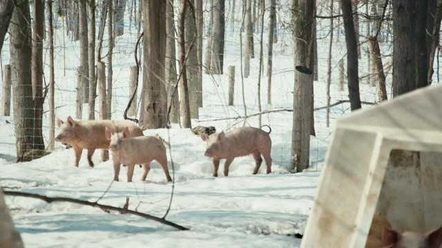 Coulée record, saison de réinvention