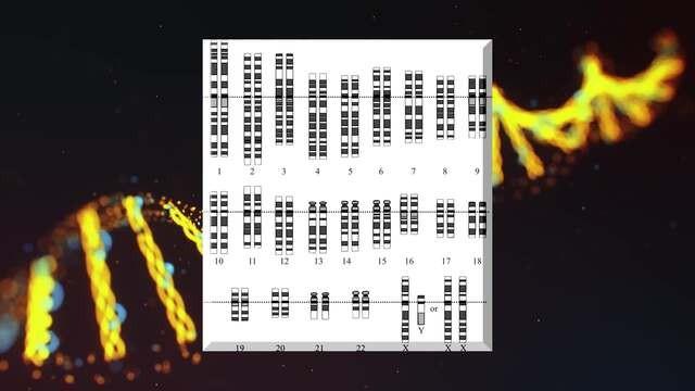 The Human Genome Project - The 13-Year Quest to Chart the Mysteries of Human Genetics