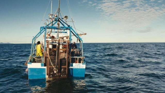 Cuisine de cerf et de mer