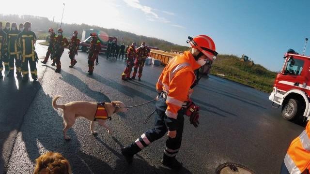 Rettung nach Verkehrsunfall | Übung mit den Höhenrettern und der Rettungshundestaffel