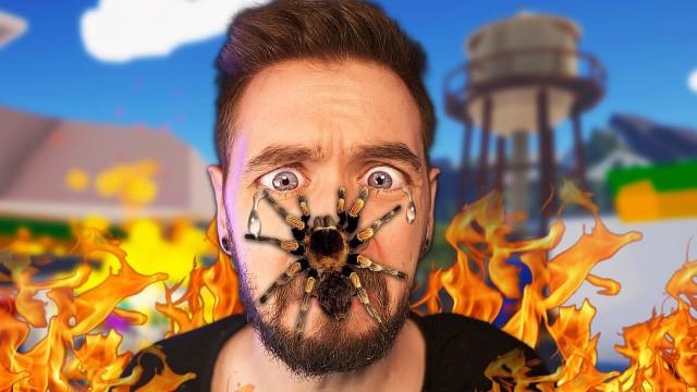 Don't watch this video if you hate spiders!