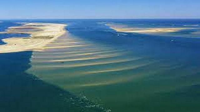 Du bassin d'Arcachon aux landes de Gascogne