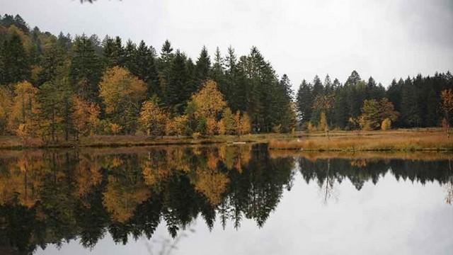 Les Vosges, naturellement