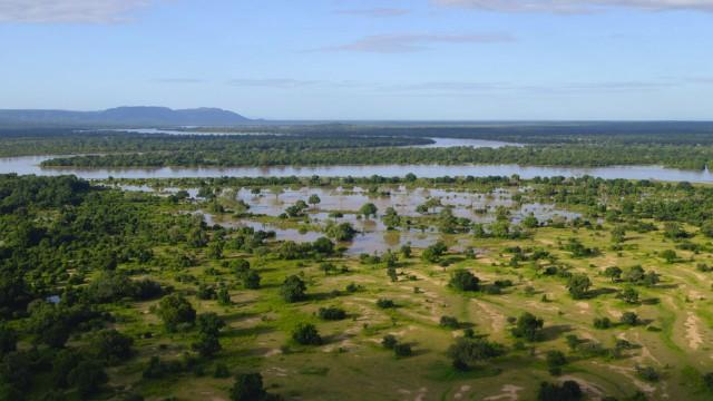 Luangwa: The Emerald Valley