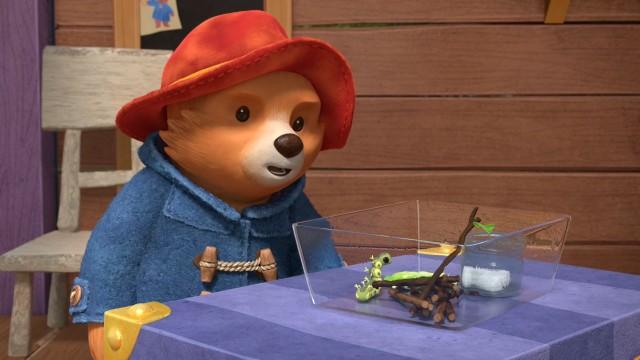 Paddington and the Caterpillar