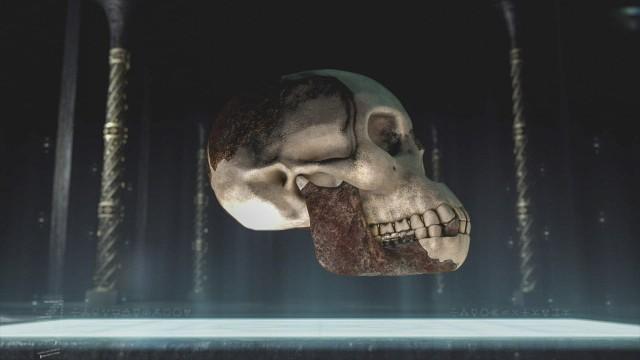 Curse of the Piltdown Man