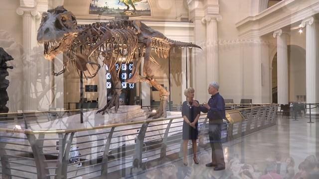 The Field Museum; Tyrannosaurus Rex, 'Sue'