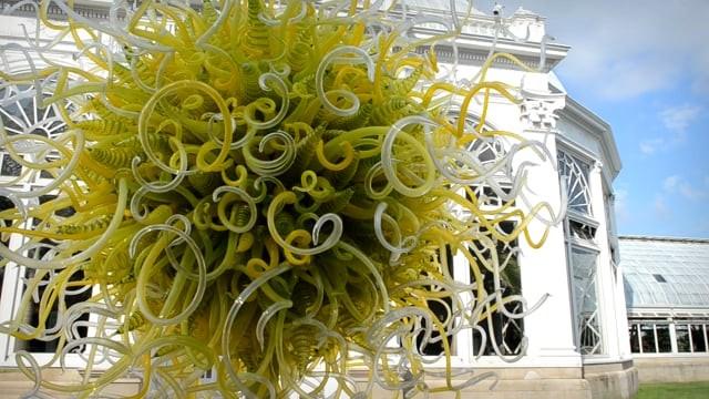 The New York Botanical Garden; Installation of Dale Chihuly Exhibit and WA. Workshop