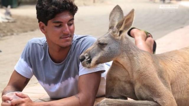 Dia a Dia na Austrália