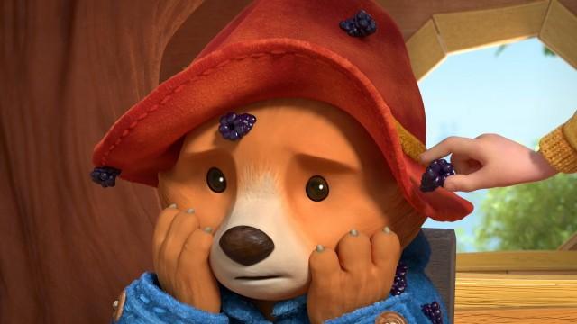 Paddington's Blackberry Treasure