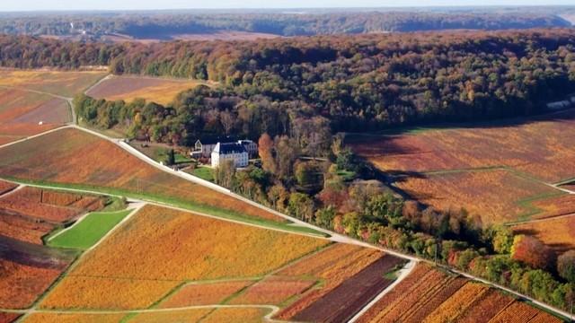 Passion patrimoine : terroirs d'excellence en Champagne