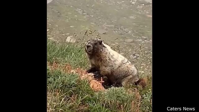 Kid Gets Caught Trying to Steal Packages