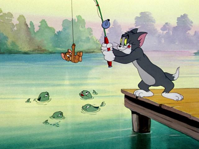 Cat Fishin'