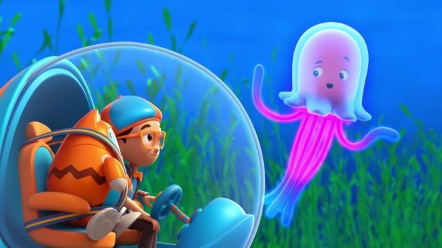 Ocean Sea Creatures!