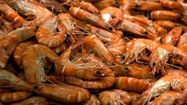 Faut-il continuer à manger des crevettes ?