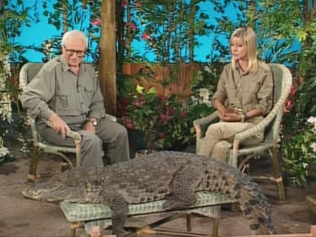 Les crocodiles