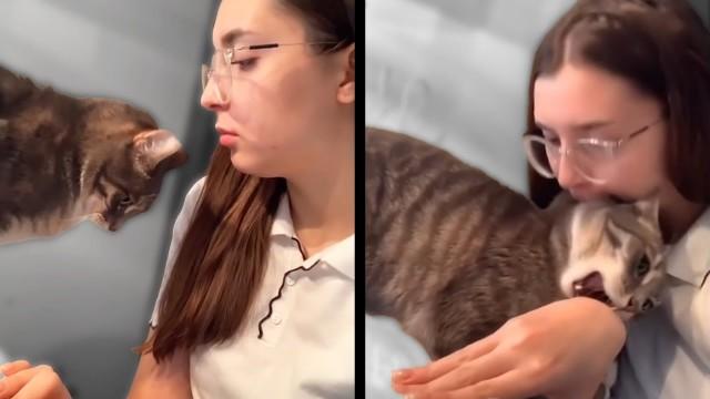 The Cat Was Not Expecting That