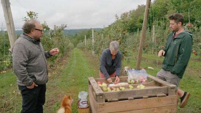 De pommes et de cultures