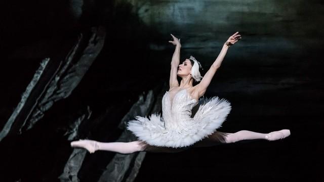 The Royal Ballet: Swan Lake