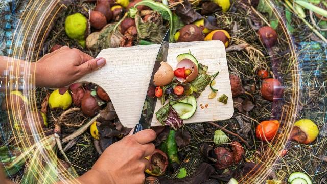 Turning Food Waste into Engery