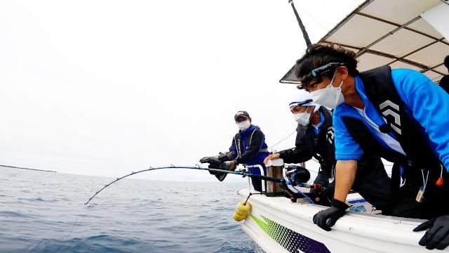 石垣島で海の“暴走族”捕まえろ!巨大なヤツらを美味しく