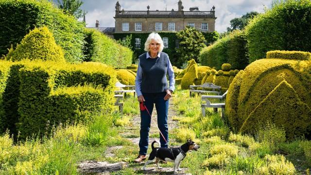 Camilla's Country Life