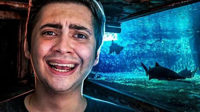 Um Passeio no Aquário