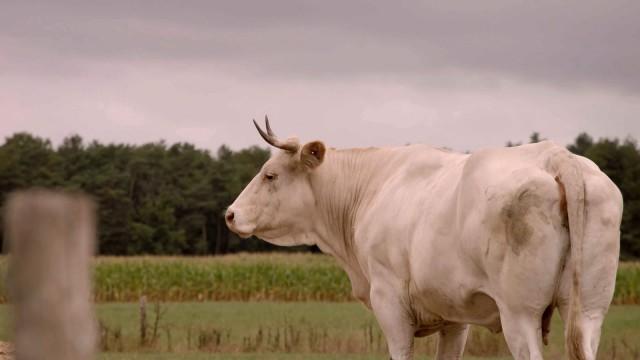 Boer zoekt toekomst