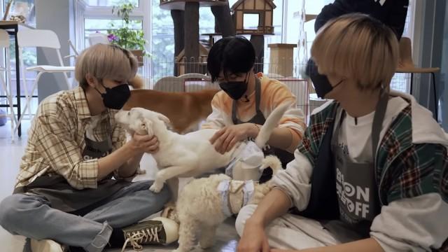 [WayV-ariety] Visit The Animal Shelter | TEN X YANGYANG's Enjoy The Challenge! Ep.6