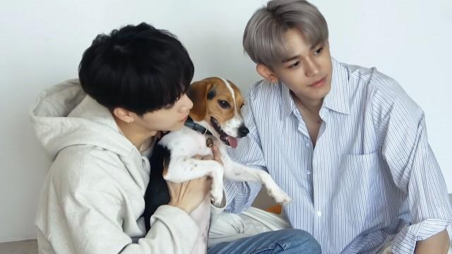 [WayV-ehind] ‘Our Home : WayV with Little Friends’