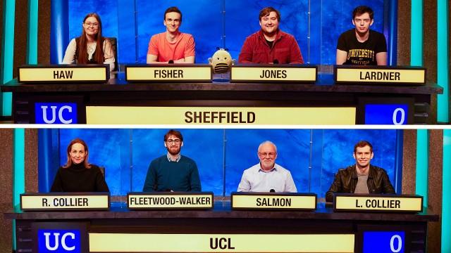 Sheffield v UCL