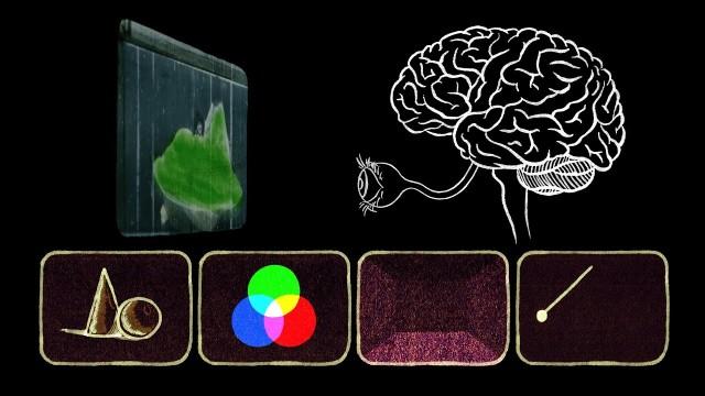 Animation basics: The optical illusion of motion - TED-Ed