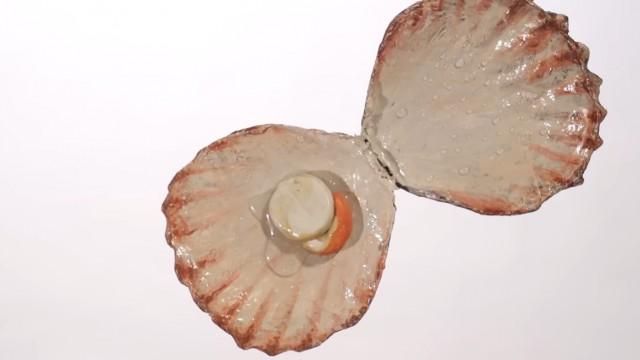 How do oysters make pearls? - Rob Ulrich