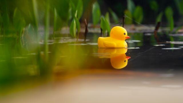 Walk Away