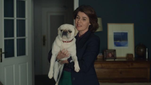 Épisode 1