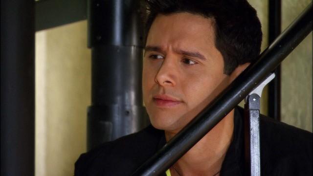 Alicia pide trabajo