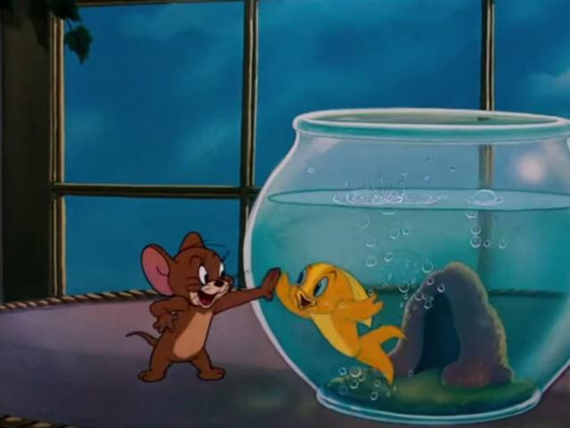 Jerry and the Goldfish