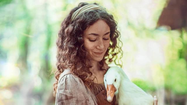 Die Gänseprinzessin