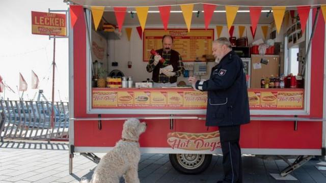 Auf den Hund gekommen