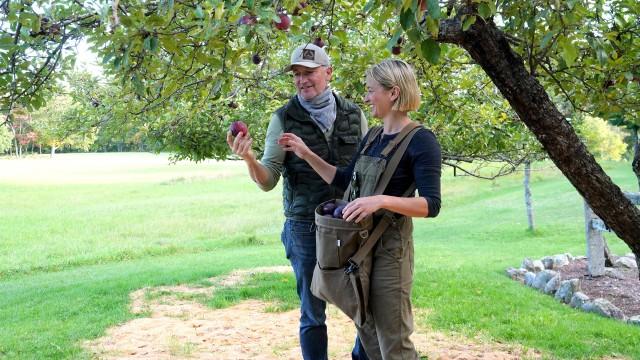 It's Apple Season