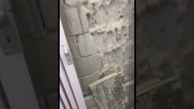 He's never riding an elevator again