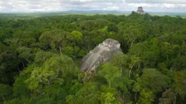 The Abandoned Mayan Cities