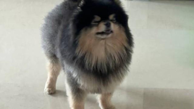 yo