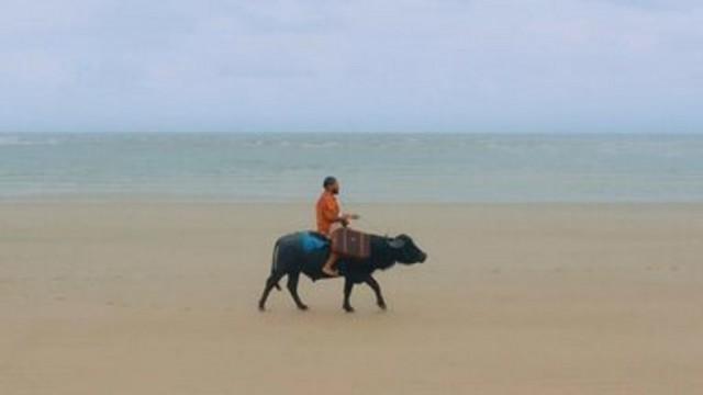 Ilha de Marajó