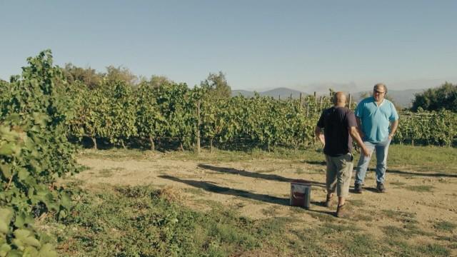 L'appel du Rhône
