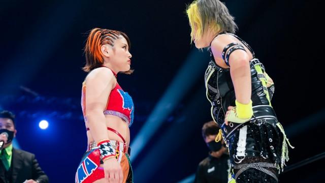 Stardom New Blood Premium