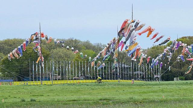 Tochigi: The Cycle of Life