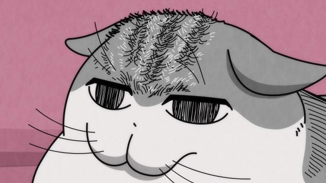 Night 49: The Fur on a Cat's Forehead